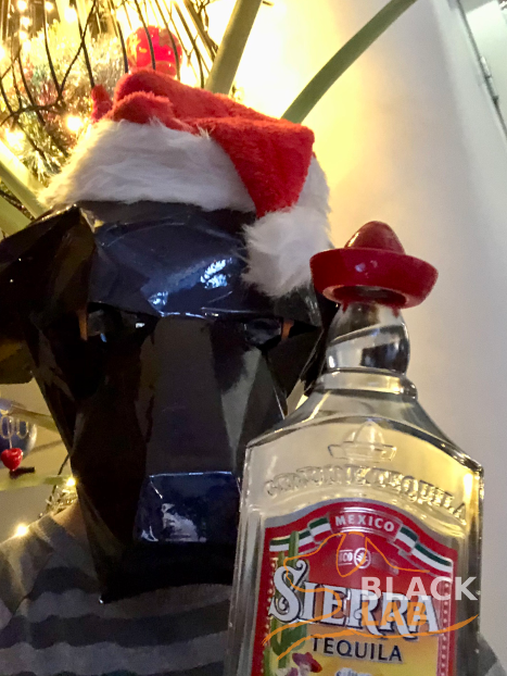 Black Paper Dog Head with christmas hat and bottle of Sierra Tequila
